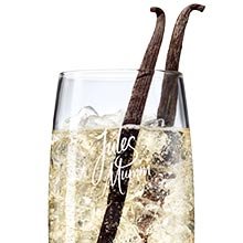 Ein elegantes Glas mit einem sprudelnden Getränk, verziert mit zwei langen Vanilleschoten, die aus dem Eis herausragen.