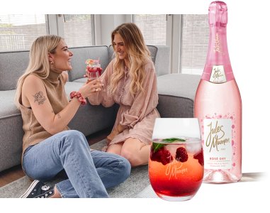 In einem hellen Raum genießen zwei Freundinnen ein Getränk aus Gläsern, umgeben von einer gemütlichen Atmosphäre und einem Sofa.