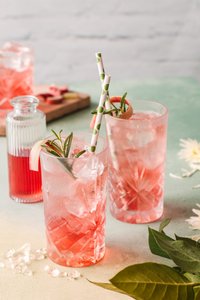 Zwei erfrischende pinkfarbene Cocktails mit Eis, dekoriert mit Rosmarin und einem grünen Strohhalm auf einem sanften Hintergrund.